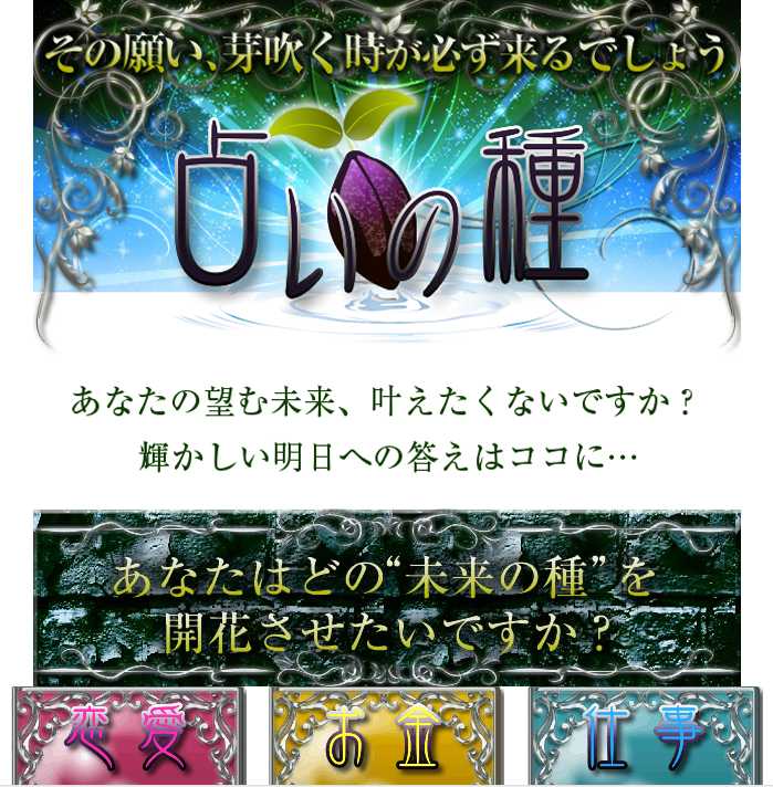 占いの種のパソコン画像