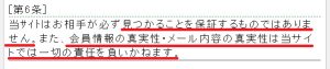 悪質出会い系サイト「パートナー(PARTNER)」の利用規約1