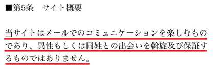 悪質出会い系サイト ヴェール(VEIL)の利用規約5
