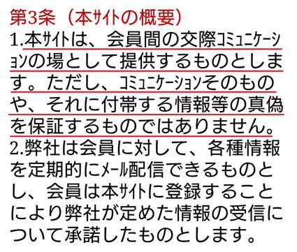 悪質出会い系サイト V・I・P Roomの利用規約3