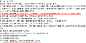 悪質出会い系サイト「カモミール(camomile)」の利用規約2