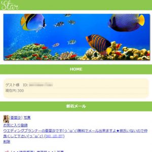 悪質出会い系サイト「star(スター)」の登録調査1