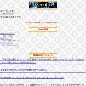 悪質出会い系サイト「Executive(エグゼクティブ)」の登録調査1