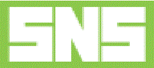悪質出会い系サイト SNS(エスエヌエス)のicon画像