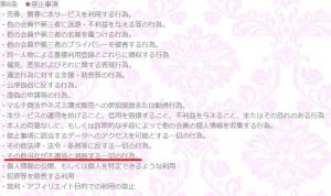 悪質占いサイト「PRECIOUS(プレシャス)」の利用規約1
