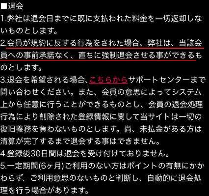悪質出会い系サイト「1919chat」の利用規約1