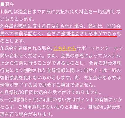 悪質出会い系サイト「6969chat」の利用規約1