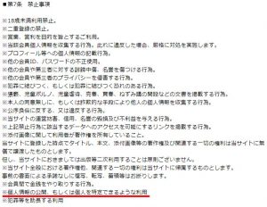 悪質出会い系サイト「Last Stage(ラストステージ)」の利用規約3