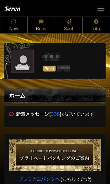 悪質出会い系サイト「Seren」の登録調査1