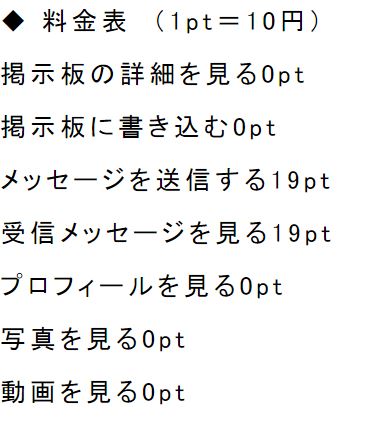 メガトンの料金設定2