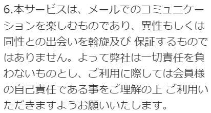 ストライプの規約2