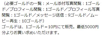ヴァルキリーの料金設定