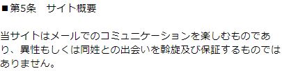 シュシュの規約2