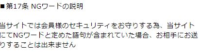 シュシュの規約6