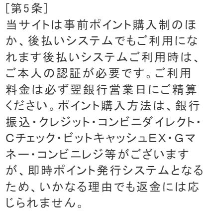 リオカートの規約2