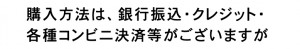 出会い系 ログイン 決済種別