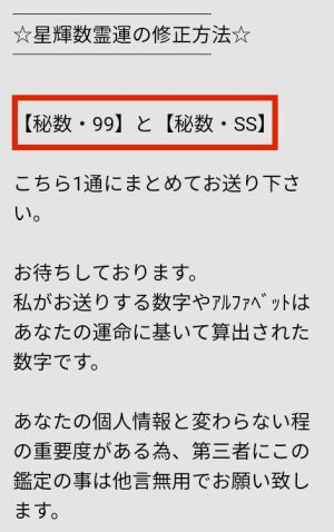 鑑定士からのメール（数字99とアルファベットSSを送るように指示）