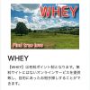 出会い WHEY TOP画像