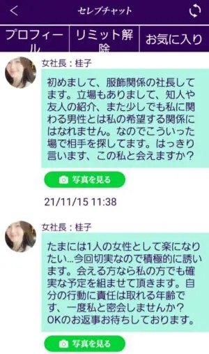 出会い アプリ セレブチャット サクラ 女社長:桂子 チャット