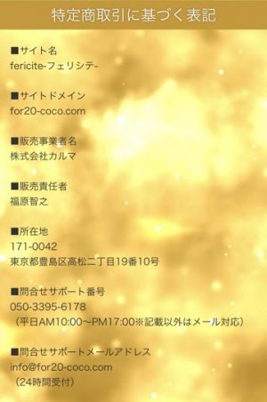占い fericite フェリシテ 特商法