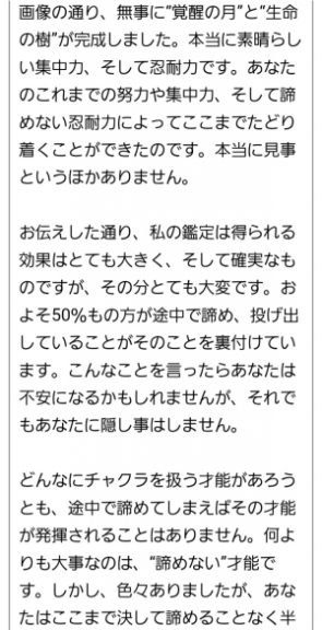 偽鑑定師からのメッセージの一部つづき