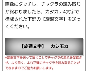 カタカナ4文字を送信するよう指示するメッセージ