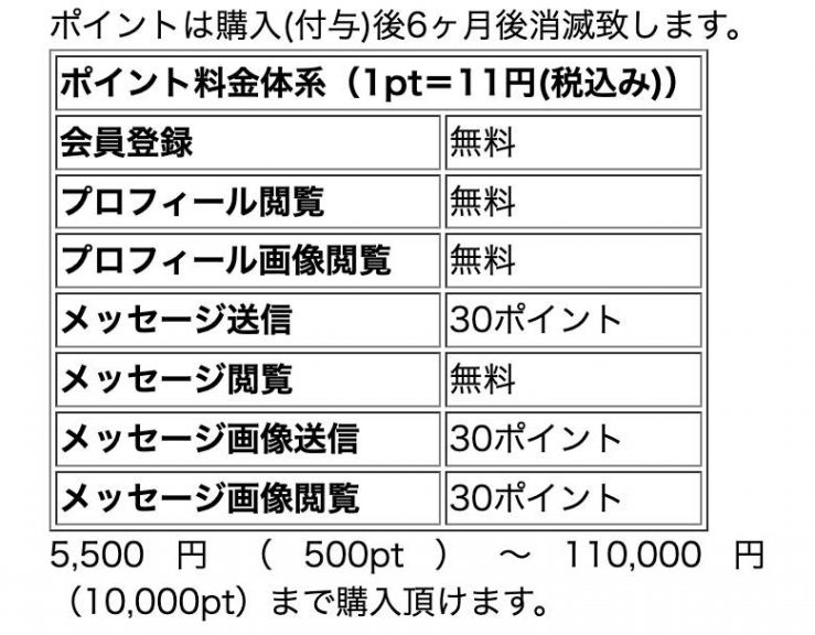 料金表のスクリーンショット