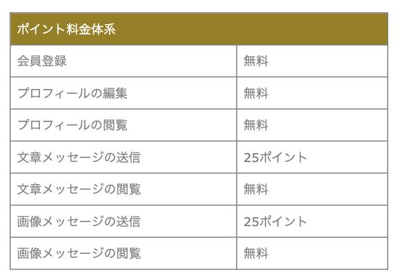 ポイント料金体系画面のスクリーンショット