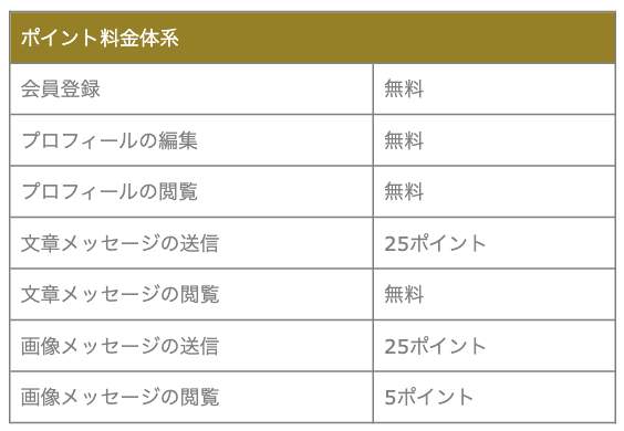 ポイント料金体系画像のスクリーンショット