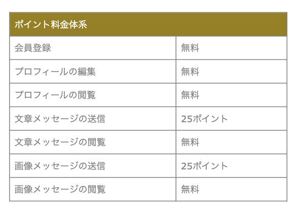 ポイント料金体系