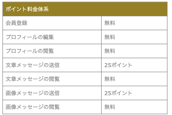 ポイント料金体系