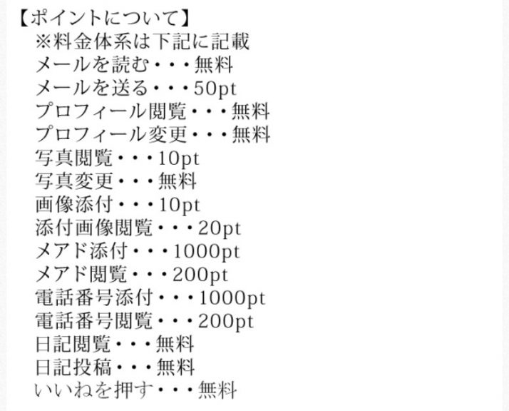 ポイントについて