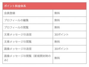 ポイント料金体系