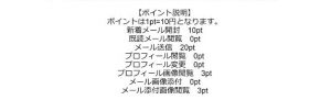 ポイント説明
